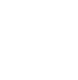 Ellipse 1